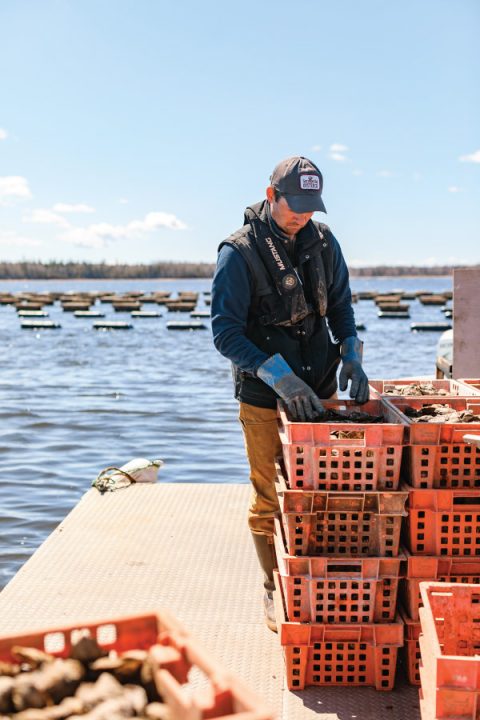 Aquaculture Opportunities for Youth - Farmers of the Sea